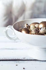 Easter Eggs Life Style Photography