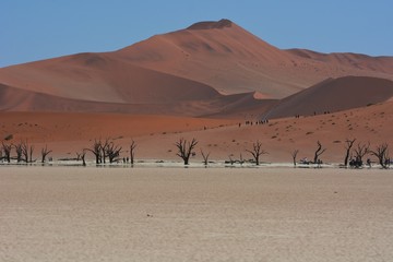 Fototapeta na wymiar Deadvlei im Namib-Naukluft-Nationalpark (Namibia)