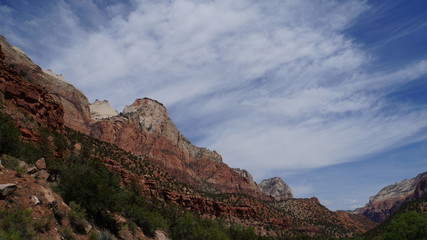 Obraz premium Felsige Landschaft im Zion Nationalpark, Arizona, USA