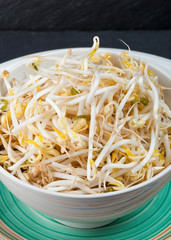 Bean Sprouts of black slate tray