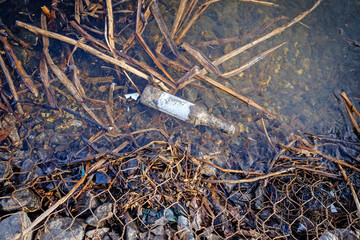 Mysterious bottle with message