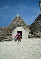 trulli italy in village alberobello Puglia