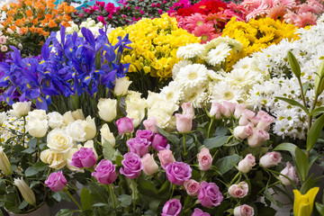 Rengarenk çiçek market