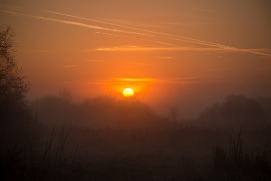 Sunrise with nice orange sun over the marshland