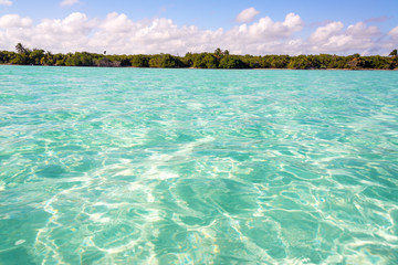 Stunning Clear Caribbean Sea in Mexico