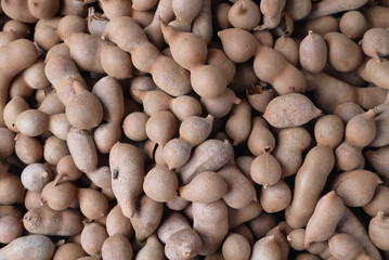 Тамаринд ― Индийский финик -  экзотический фрукт внешне он напоминает тот же боб, только коричневого цвета 