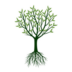 Green Trees with Roots. Vector Illustration.