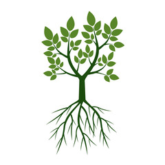 Green Trees with Roots. Vector Illustration.