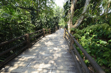 Doi Tung Royal Villa