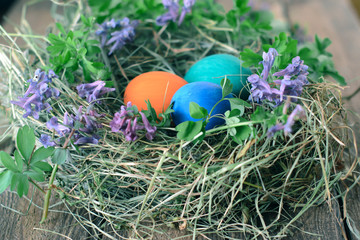 Fototapeta na wymiar Multi-colored Easter eggs on a wooden background in the nest.