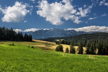 Fototapeta na wymiar Landscape of Tatra Mountains