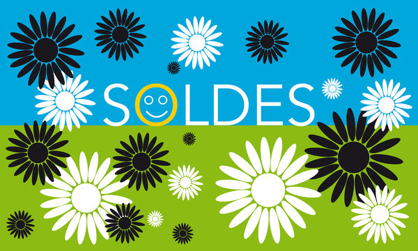 soldes avec fleurs fond ciel et herbe