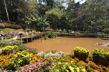 Fototapeta na wymiar Doi Tung Royal Villa