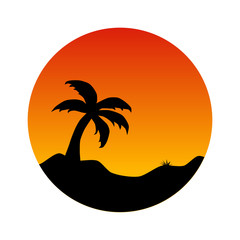 Palm tree at tropic sunset