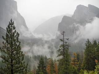 Rain in the Canyon