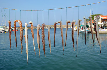 Octopus drying under the sun in Greece