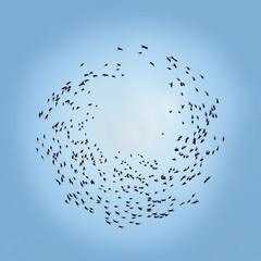 Birds flying in a circle in the blue sky