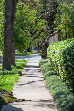 Sidewalk In The Historic Houston Heights