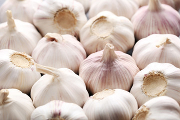 Garlic background