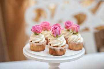 A few chocolate cupcakes