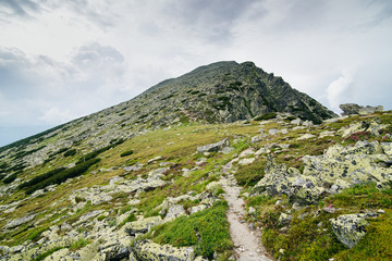 The trail to the summit in the mountains of Romania