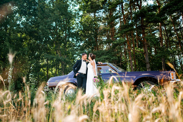 Obraz premium Young and happy couple hugging, standing next to the car in the background.