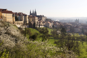 Fototapeta na wymiar Morning spring Prague City with gothic Castle and the green Nature, Czech Republic