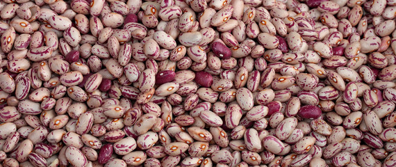 background of thousands of wholesale beans