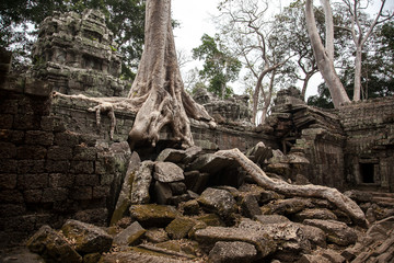 Angkor Wat, Siem Reap, Cambodia