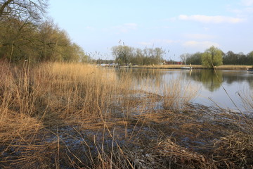 Knoops-Park im Frühling