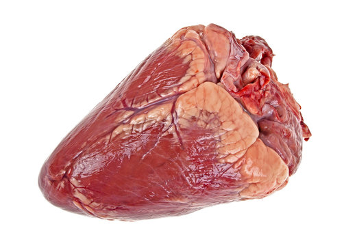 Beef heart isolated on a white background