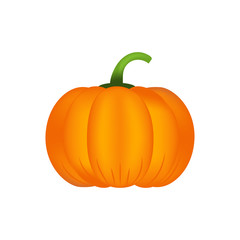 Healthy vegetables with pumpkin, vitamins and minerals.