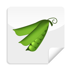 Isolated healthy vegetables