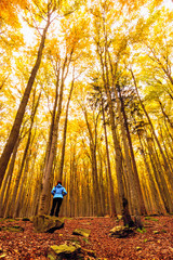 autumn, forest, people, human, fall, tree, park, czech republic, landscape, colors, beatiful, forest