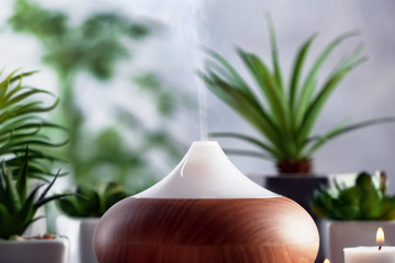 Aroma oil diffuser and plants on background