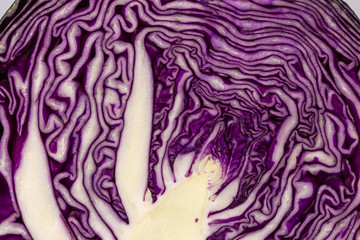 Obraz premium macro half red cabbage over white background