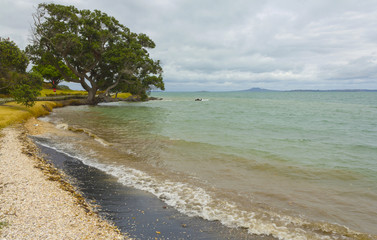 Fototapeta na wymiar Black Sand Part at Omana Beach Auckland New Zealand