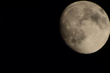 Fototapeta premium Vollmond