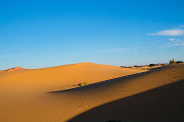 Fototapeta na wymiar Sahara desert in Morocco, North Africa