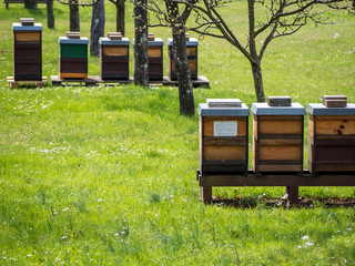 Bienenkästen im Frühjahr
