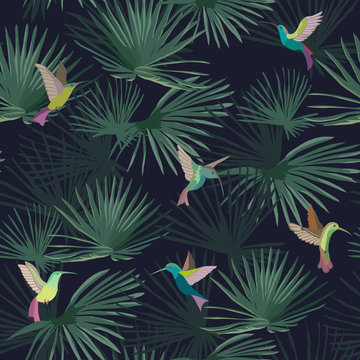 Exotic tropical forest. Hummingbirds. Colibri. Seamless pattern. Vector background.