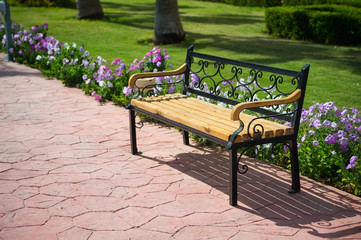 empty wooden bench near green grass, beautiful flowers in park