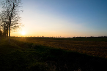 sunset view with different colors field