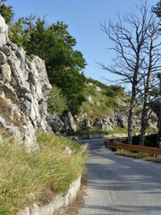 Straße im Nationalpark Biokovo