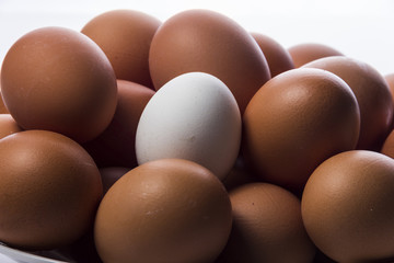 Huevos frescos de gallina