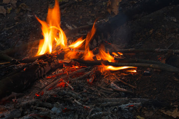 Night bonfire background