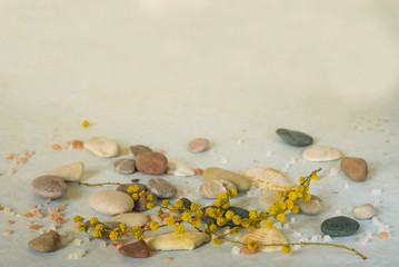 Fototapeta na wymiar tender backgraund with flowers, sea stone and salt