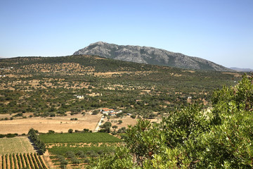Obraz premium Landscape near Dorgali. Sardinia island. Italy
