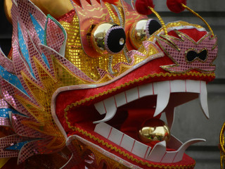 Fototapeta na wymiar Chinese dragon head