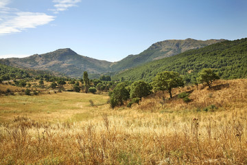 Landscape near Madau. Sardinia island. Italy